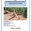Business plan culture du manioc sur 2 hectares