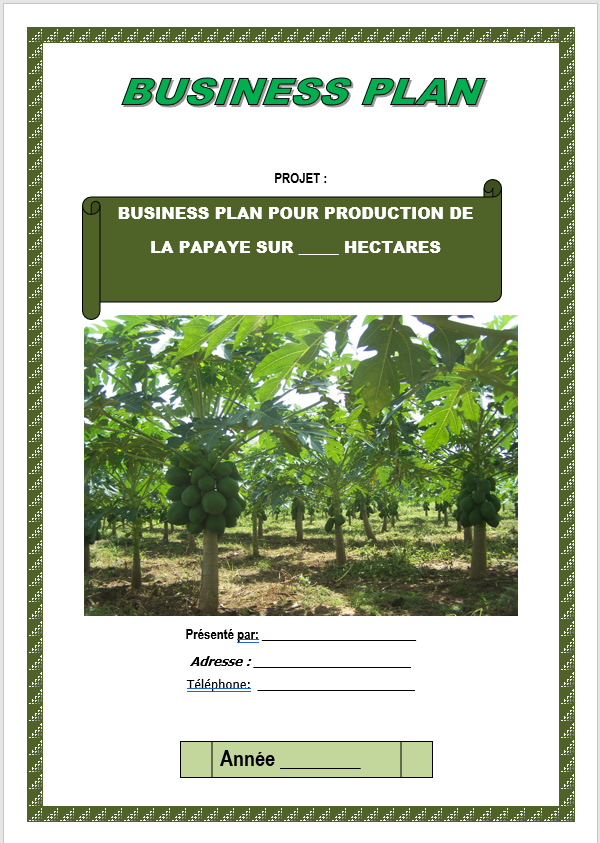 Business plan culture de la papaye