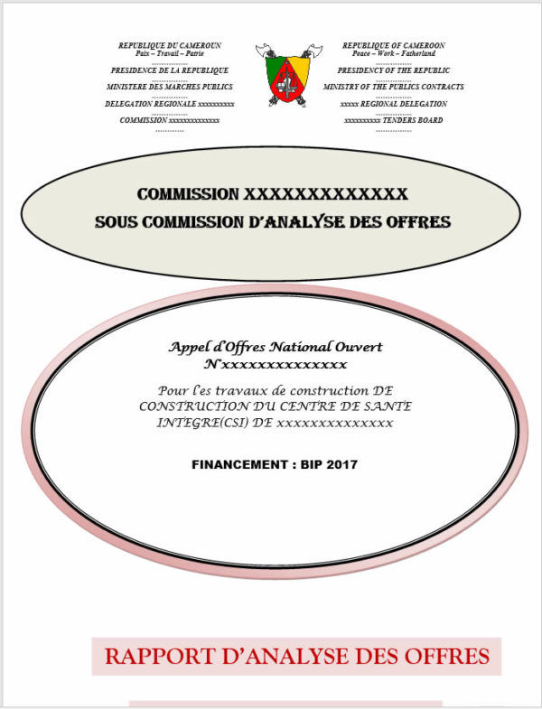 Guide de formation en marchés publics au Cameroun et en Afrique - Image 2