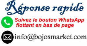 Logo 2 Bojos market